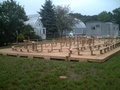 pict0040.jpg